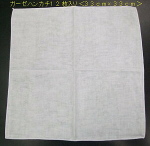 Ă܂!! 12{̔dK[[nJ`/33cm×33cm/K[[/dK[[/ӂǂJ[K[[/{//Ri΍/}XN/@/xr[/Ԃ//zCg/No.511