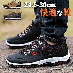 ^C Y fB[X jOV[Y  h V[Y ʋ ʊw y  L ʋC EH[LOV[Y o