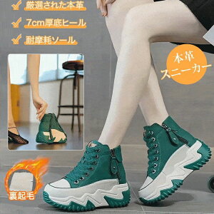 JW V[Y fB[XC nCJbg Xj[J[  {v v C 7Z`  fB[X Xj[J[ ₷