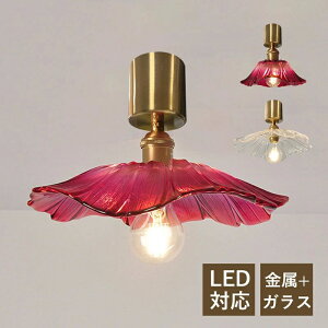 xbh[  VƖ IV a  XehOX Ԍ^  KX  LEDΉ k V[OCg