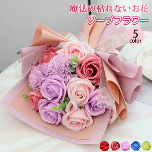 LO ̓ zCgf[ w  LO a Mtg v[g ͂Ȃ Ό t[  {bNXt[