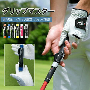  g[jO WjA fB[X Y K fU St XCO Obv {[łĂ