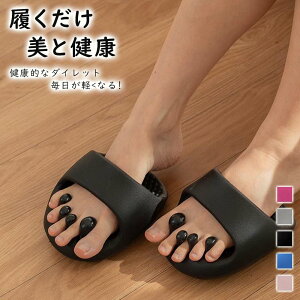 g[jO {fB[CN qbvAbv  r ƂȂ ̊Xbp NT_ oXT_ NT_