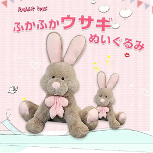   NbV ӂӂ ʂ 傫 ʂ e  傫  Dj\ ʂ݂