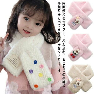 H  WjA Xg[ qǂp ǂp eBybg h  ӂӂ tFCNt@[ Xk[h ̎q LbY