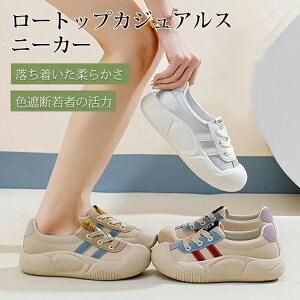 O L b y fB[X Xb| ꂢ fB[X Xj[J[ JWAV[Y  fB[X JWA