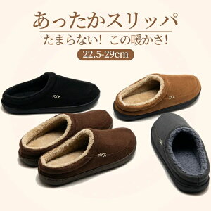 t@[t  h ~p {At [V[Y Xbp Y  fB[X Xbp ӂӂ ƕt