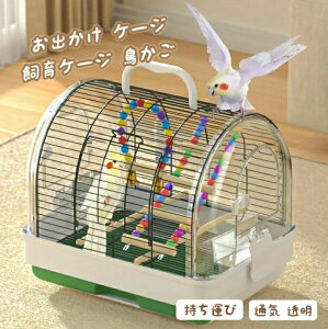 P[W P[W  o[hP[W ^ ʋC  ~܂ؕt VF[ht   ^Cv CR nX