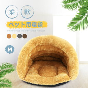  Ĝ悢 ~ ӂNbV pӂ Lpxbh xbh   nEX  Lp Q p ybgxbh