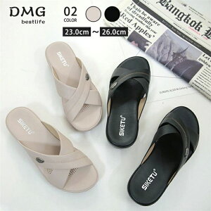 q[ m wZs ubN wlp p 蕨 ɂ ₷  pW[Xbp  pansy fB[X