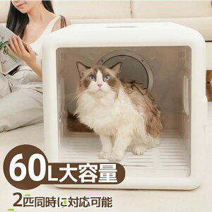 ybghC[ 60L e ybgpi  ybgnEX hC[ hC[ L  ybg  @   