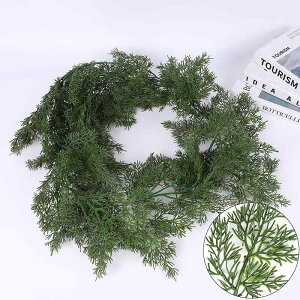 Be(x10) CeA Ǌ| t  t   fR[V NX}X