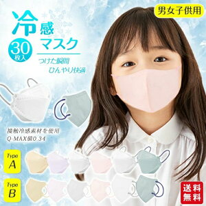  3w tėp pXeJ[ 3D ݃J[ qǂ LbY oCJ[ sDz}XN ₷ ̃}XN 30 q