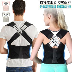 x w؋xg Ci[  Lw 傫TCY xg jp  Lw Lwxg ڗȂ q p␳