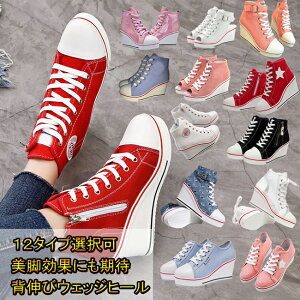 傫TCY Cq[ Xj[J[ fB[X 8cmq[ EFbW\[ V[Y LoX JWA gC  r