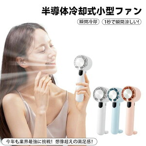 冷却プレート 高速大風量 2000mAh大容量 手持ち扇風機 小型 5段階風力調節 接触冷感 ミニファン 超軽量 静音 ハンディ扇風機 USB