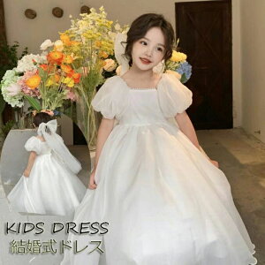   \hX qhX xr[hX s[X  ̎q Ԃ Zj[hX hX LbY hX