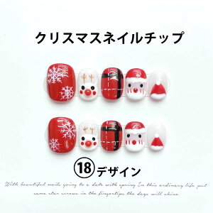 W  \lC O XNGA LL  T^N[X CXg[ NX}X 10 ̌ T^