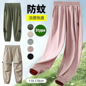  q  Y{ Ē΍  ZtJbg Ђ LbY Chpc ̎q Y{ q j̎q  pc