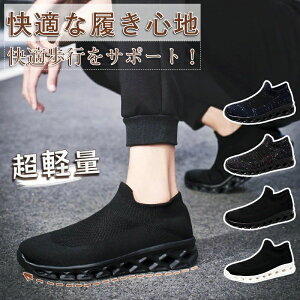 bV u[cT_ ₷ T_ fB[X C l ʋC ėpu[c t ؂  XvOu[c V