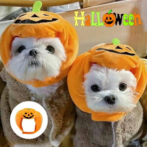 LO ANZT[ ˂ 񂿂 L  RX`[ Xq nbg 蕨 ybg nEB RXv Lp J{`