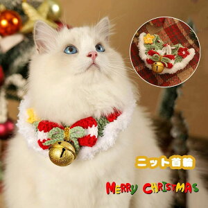  ybgp  NX}Xxt }t[  ҂ ybg NX}X 킢 jbgт ю 