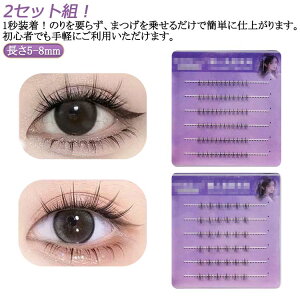 アイラッシュ 束感 部分用 かわいい 2セット組 ナチュラル つけまつ毛 アイメイク 接着剤不要 下まつげ のり不要 つけまつげ 下