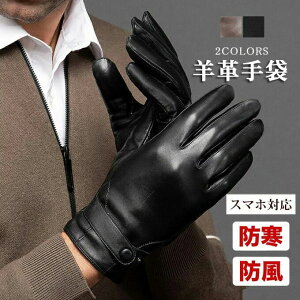 r Ԃ O[u X}z Y U[ X}z Y  U[O[u jp V[vXL v Y