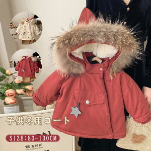  RR ӂӂ AE^[ xr[ t[ht t@[ N h  j̎q ̎q R[g q h  R[g