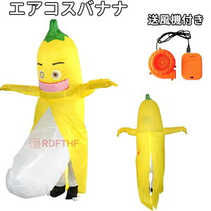 R Cxg Xe[Wpړo noiiLN^[l`[Cƃoii[C HוnRXvp  nEB