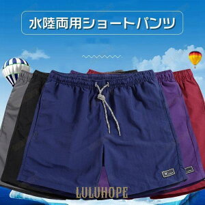 Xgb`  EGXgS {gX Y C  T[tV[c n[tpc p G V[c Z 