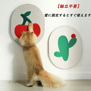 XgX Ƌی CeA VRf 炵 XNb`{[h ߂Ƃ ܂Ƃ}bg |܂Ƃ{[h TCU