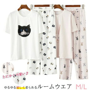 Jbv Ƒ  M/L  JWA l ꂢ ɗD _炩  t  ㉺Zbg