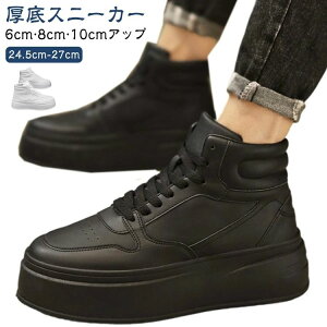 C グ YV[Y 8cm V[NbgXj[J[ Y  6cmAbv Ȃ Xj[J[ gAbv Xj[J[