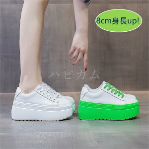 y V[Y ꃌfB[X Xj[J[ Xj[J[   8cm+ fB[X Xj[J[ {vCq[ Xj[J[