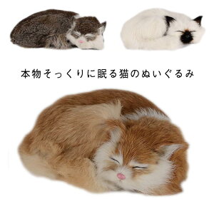   n Aj} q u   u  A { lR L̂ʂ