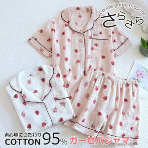 Vlb  OJ ZbgAbv   ㉺Zbg [EGA _uK[[  K[[pW} 100% fB[X