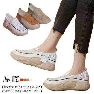 JWA  ʋC EhgD r  Xb| lԍHw [t@[ O q[5cm  V[Y