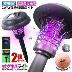 ͉Ꮬ Ɩv _ߒ ߍ ECg EƖd 4_Zbg 2_Zbg \[[Cg K[fCg