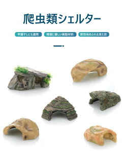 ヘ トカゲ ヤモリ レオパ 洞窟 スドー 大きい 苔 ウェットシェルター 水槽の装飾 生息地の装飾 装飾 加湿 飼育 両生類 隠れ家 亀