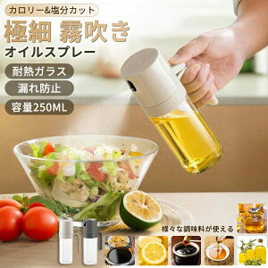 Xv[ ɍׂ̃~Xg Xv[{g ϔMKX tꂵȂ    250ml Lb` {g IC|bg