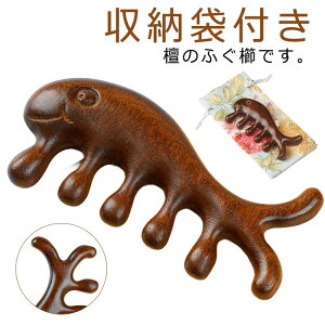 wbh ˋN ?  JbT ؐ R[ PA {fB}bT[WObY JbTv[g }bT[W T_Ebh