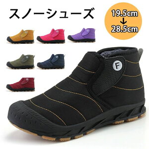 ~p C EB^[u[c  g N ۉ Ȃ h hC Y [gu[c fB[X Y