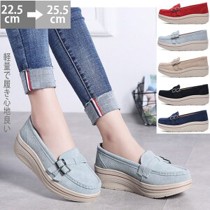   ʋC C XEF[h y t {v 5cm V[Y JV[t@[  JVV[Y ؂ fB[X