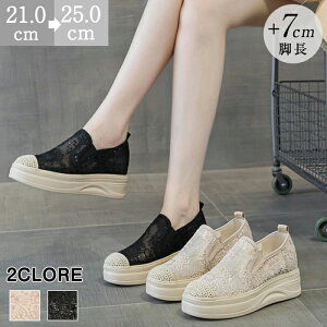 C r LL 7cm Xb| Cq[ bV TChSA GXph[  fB[X 9/30܂Ł^Xb|