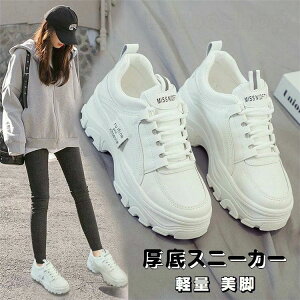 JW ₷ C X|[cV[Y ₷ wL r V[Y Xj[J[  _bhXj[J[ fB[X