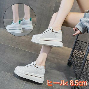 j EH[LO X|[cV[Y _bhV[Y Xj[J[ EhgD fB[X _bhXj[J[ Xj[J[