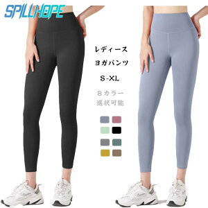  seBX ^Cc rXpbc vg nCEGXg X|[cEFA fB[X KEFA 郌MX Kpc