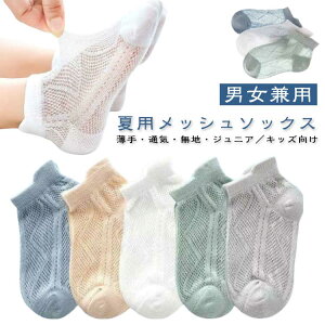 xr ₷ 킢 C  AN\bNX ʋC Ԃ qǂp n ct 5g \bNX LbY 