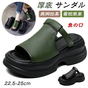 r SVΉ ~ Ȃ r [}  4E xNfUC ̌ 6cm fB[X Xg[gT_